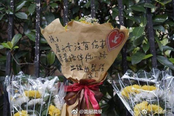 利物浦队史身价第二的反击新尖刀？埃基蒂克将如何为锋线提质改造